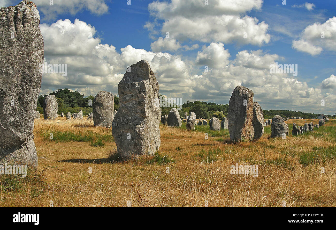 Rows of ancient standing stones in Carnac (France Stock Photo - Alamy