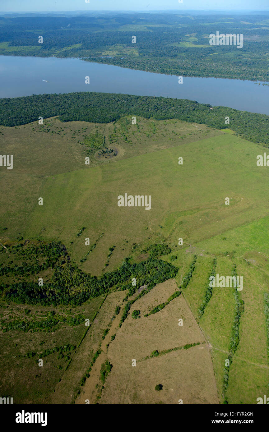 Aerial view, large scale clearing for pastures, Amazon rainforest on Rio Tapajos, Itaituba District, State of Para, Brazil Stock Photo