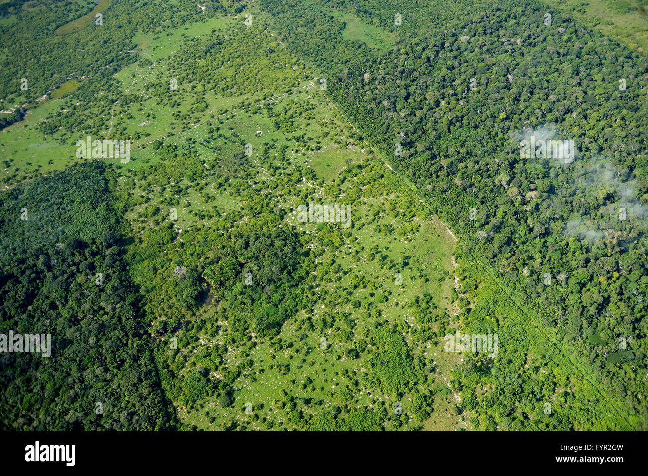 Aerial view, large scale clearing for pastures, Amazon Rainforest, District Itaituba, State of Para, Brazil Stock Photo