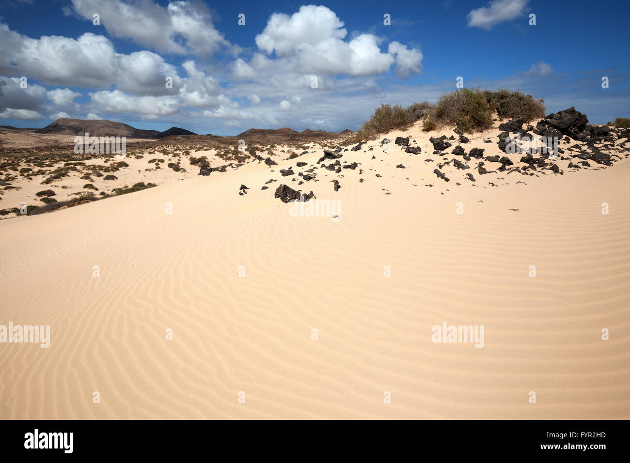 Sand dunes, wandering dunes El Jable, Las Dunas de Corralejo, southern part of the Corralejo Natural Park, Fuerteventura Stock Photo