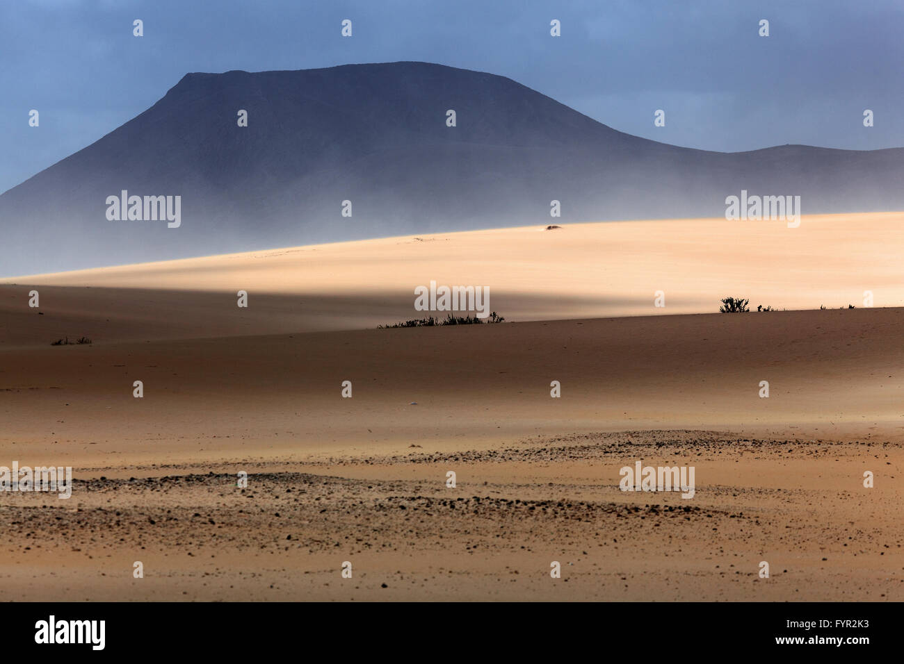 Sandstorm in the sand dunes, wandering dunes of El Jable, Las Dunas de Corralejo, Corralejo, Fuerteventura, Canary Islands Stock Photo