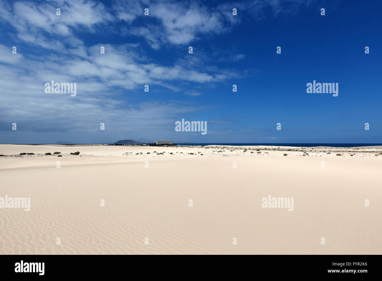 White sand dunes in the wandering dunes of El Jable, Las Dunas de Corralejo, Corralejo Natural Park, Fuerteventura Stock Photo