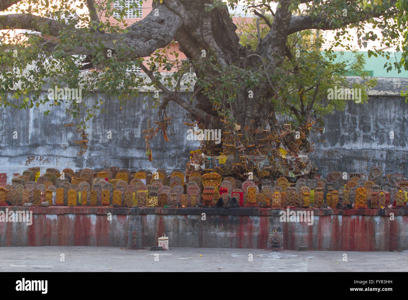 Group of yellow tombs with red dots in Shiva temple, Kanchipuram, Tamil Nadu Stock Photo
