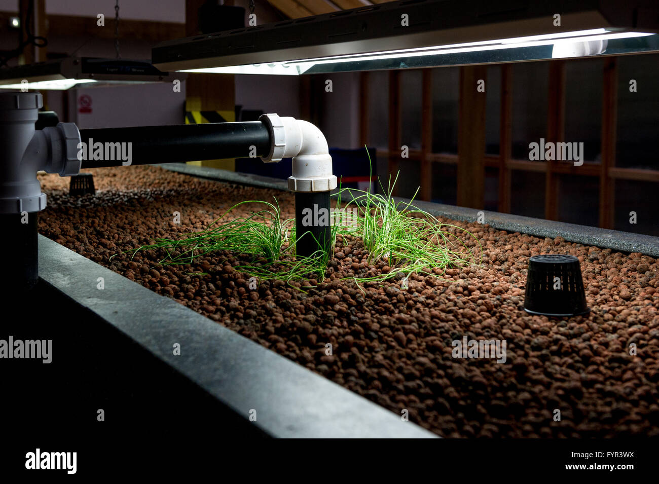 Aquaponics hires stock photography and images Alamy