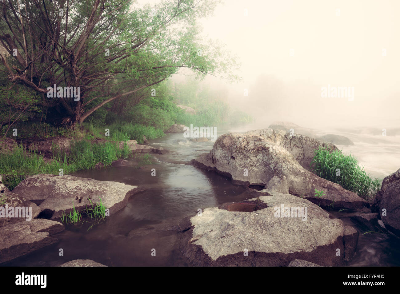 Vintage image of foggy river morning Stock Photo