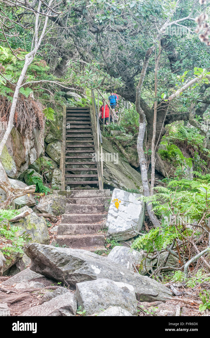 STORMS RIVER MOUTH, SOUTH AFRICA - MARCH 1, 2016:  Unidentified hikers on the Waterfall Trail Stock Photo