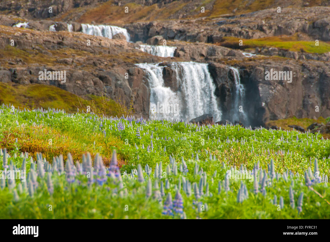 Waterfalls Skalanes, Seydisfjordur Stock Photo