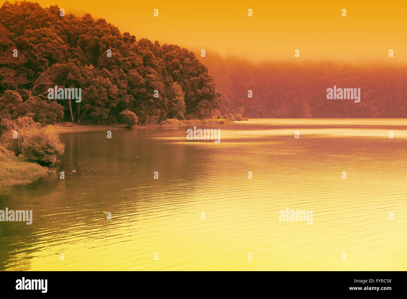 Artistic golden colorful landscape of forest lake Stock Photo - Alamy