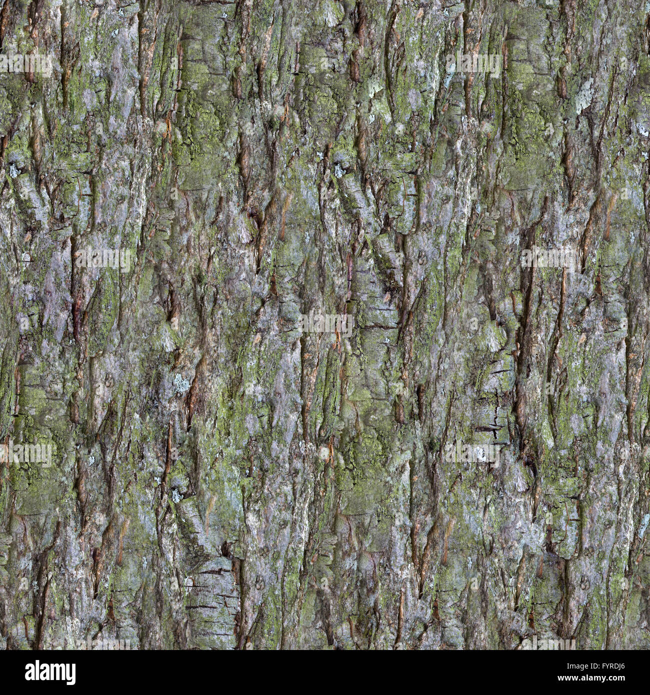 Pine Tree Bark Seamless Texture Stock Photo - Alamy