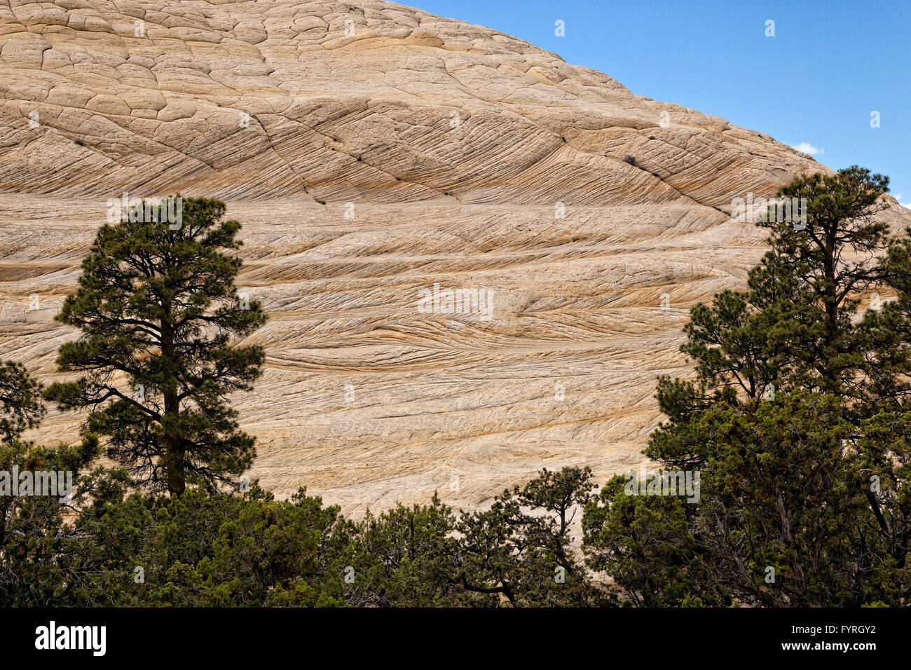 Cross Bedding Sandstone - Capitol Reef NP - Utah Stock Photo