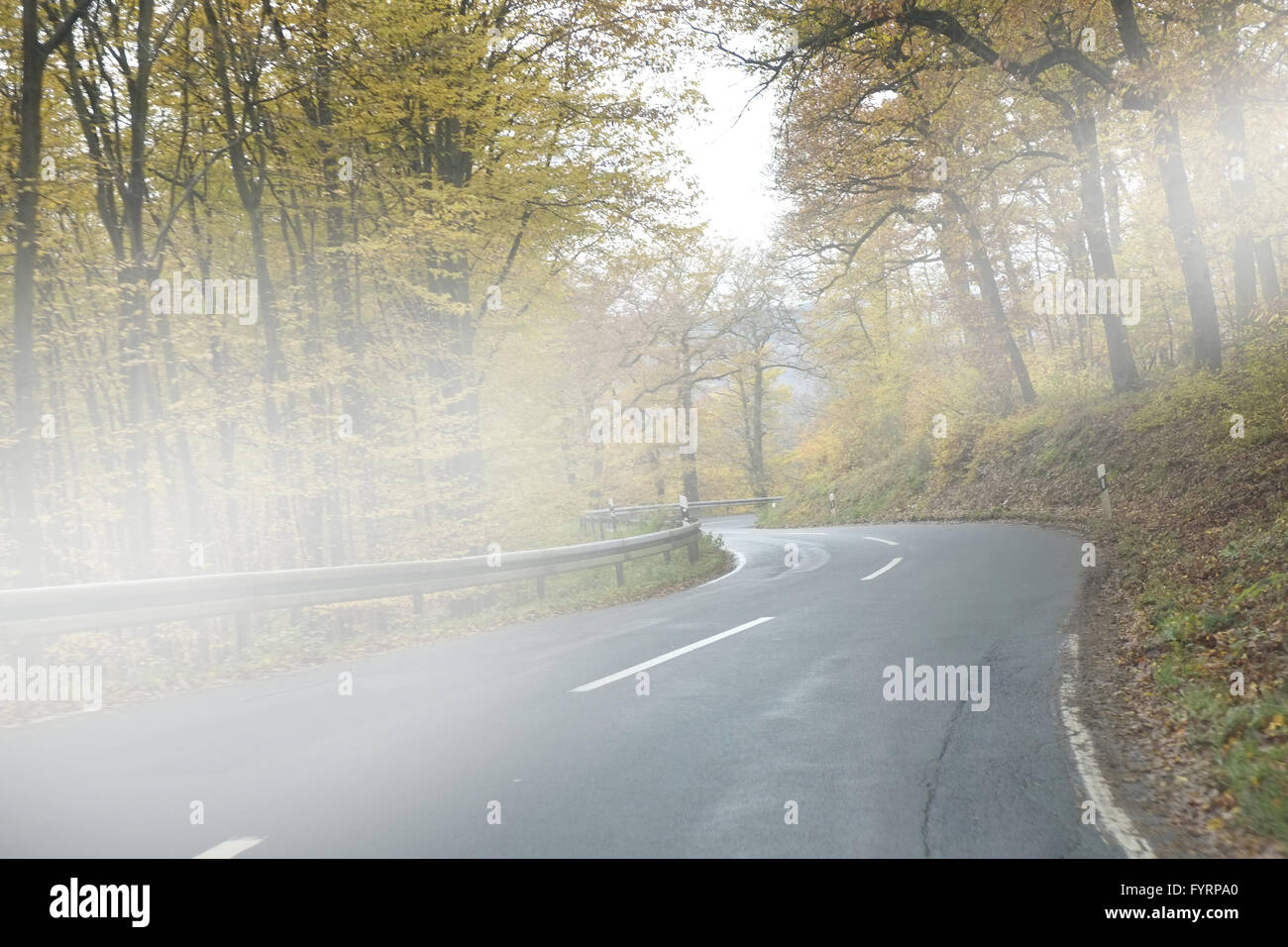 Fog / Fog patches Stock Photo