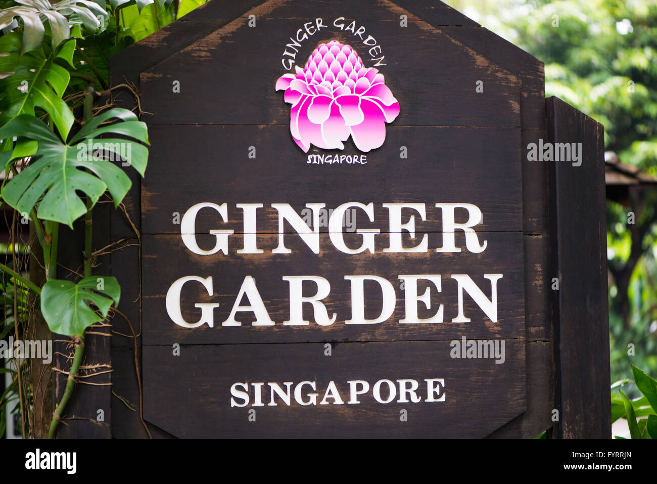 Singapore AUGUST 2, 2014 Entrance to Ginger Garden on August Stock