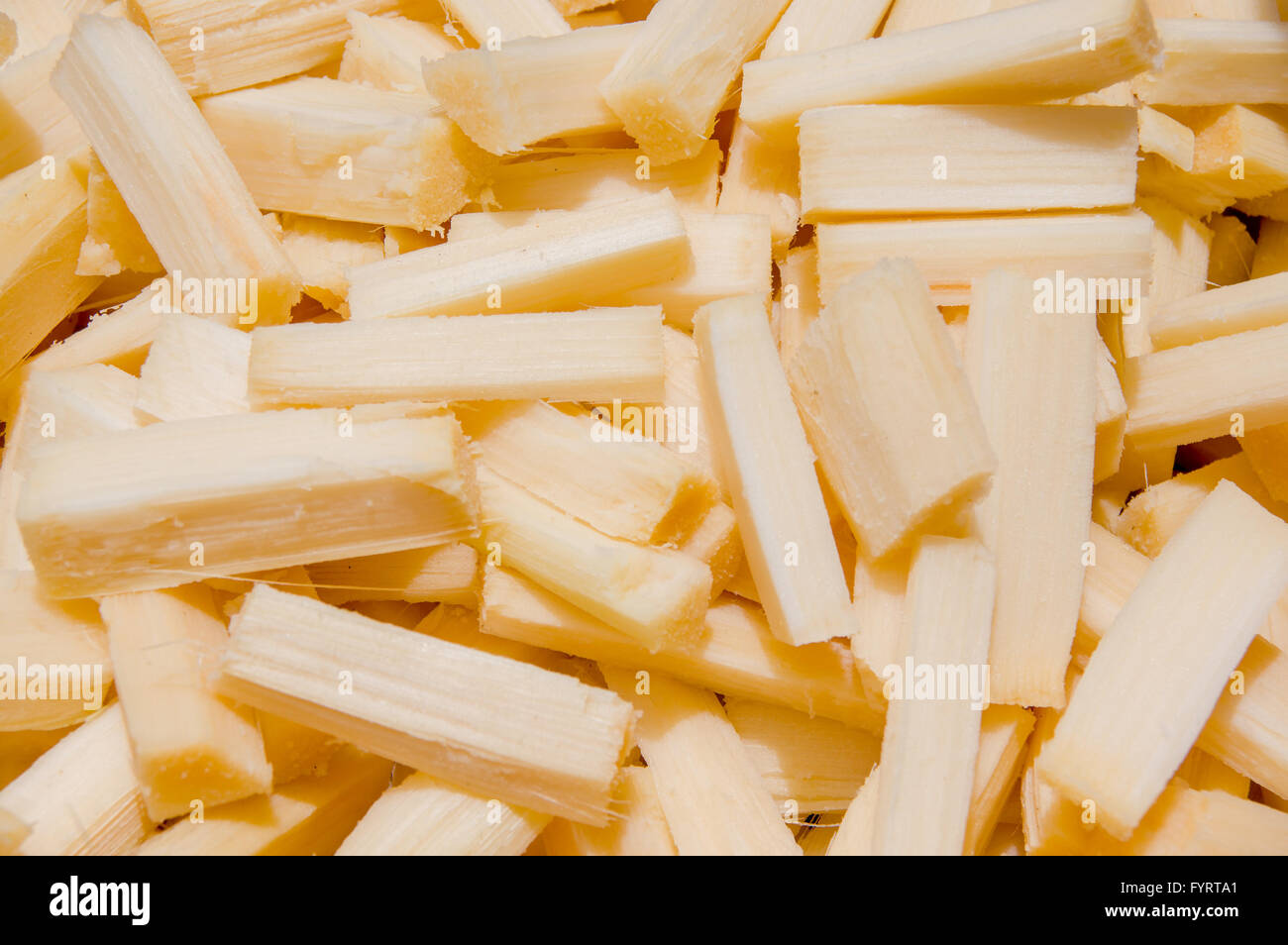 Closeup finely chopped sugarcane pieces lying in piles Stock Photo