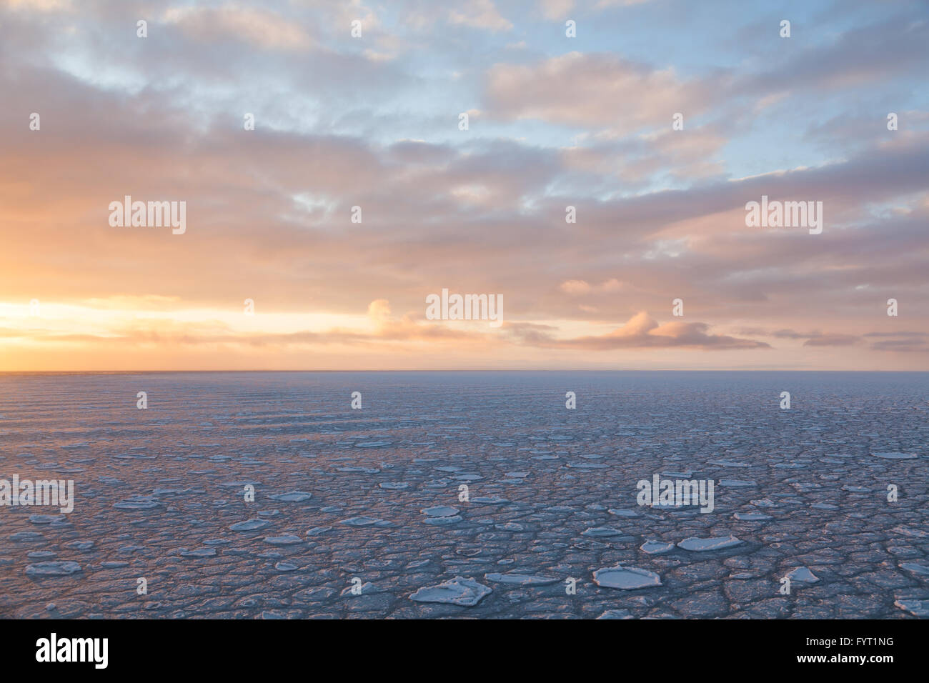 Pancake ice in the open sea in the Arctic Stock Photo