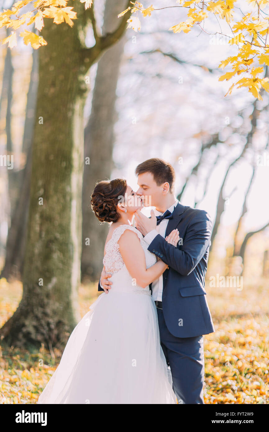 Happy wedding couple, bride and groom kissing in the autumn forest ...