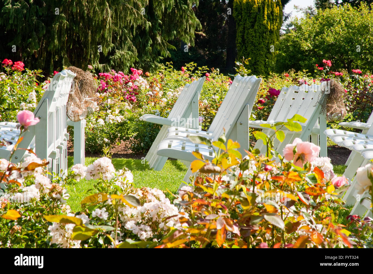 Woodland park rose garden hires stock photography and images Alamy
