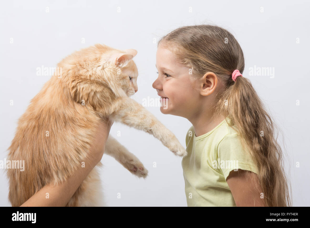 Four-year girl gave the cat Stock Photo