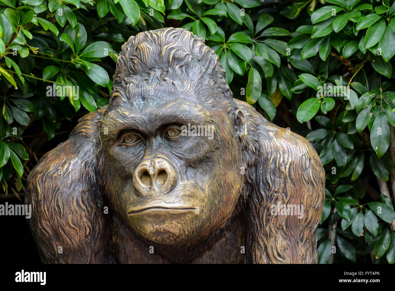 Statue of Strong Gorilla Stock Photo, Royalty Free Image: 103178171 - Alamy
