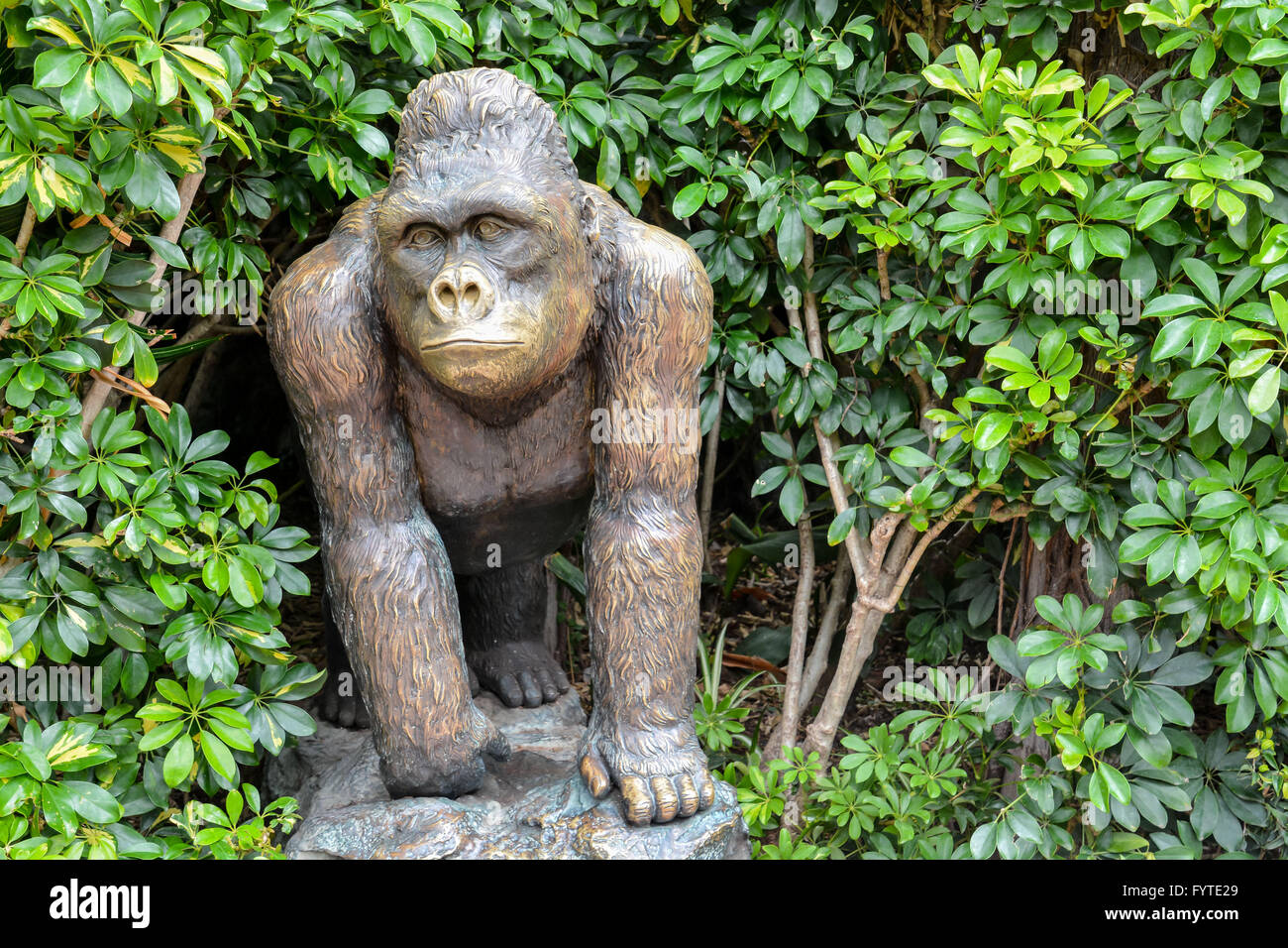 Statue of Strong Gorilla Stock Photo - Alamy