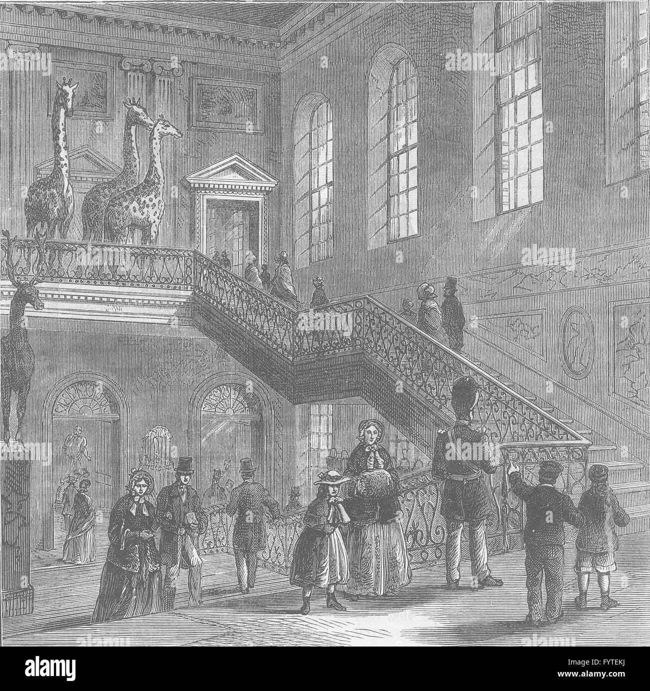THE BRITISH MUSEUM Montagu House, grand staircase. London, old print