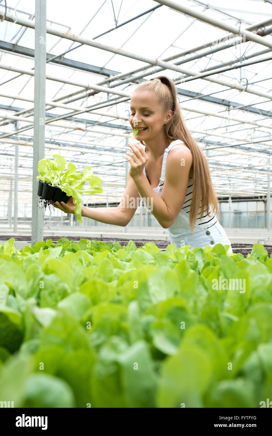 Young adult woman gardening in a greenhouse Stock Photo - Alamy