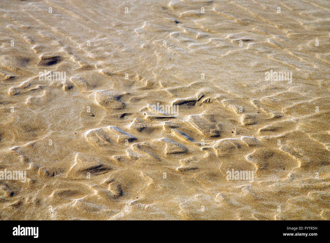 dune beach near atlantic ocean Stock Photo - Alamy