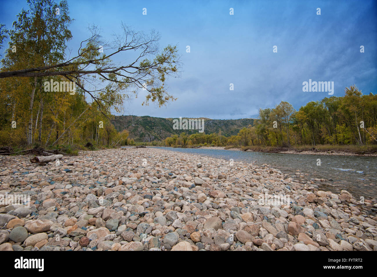 Aerial photo river green trees hi-res stock photography and images - Alamy