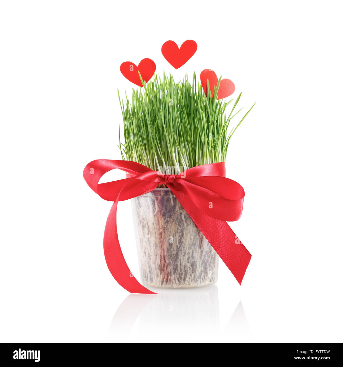 Green grass and red paper hearts Stock Photo