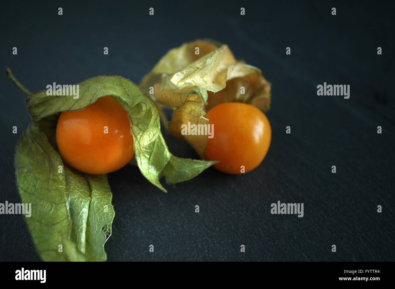 Physalis Stock Photo Alamy