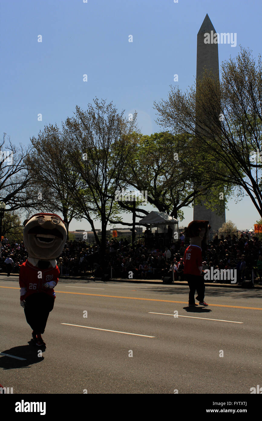 cherry blossom parade washington dc brian mcguire Stock Photo Alamy