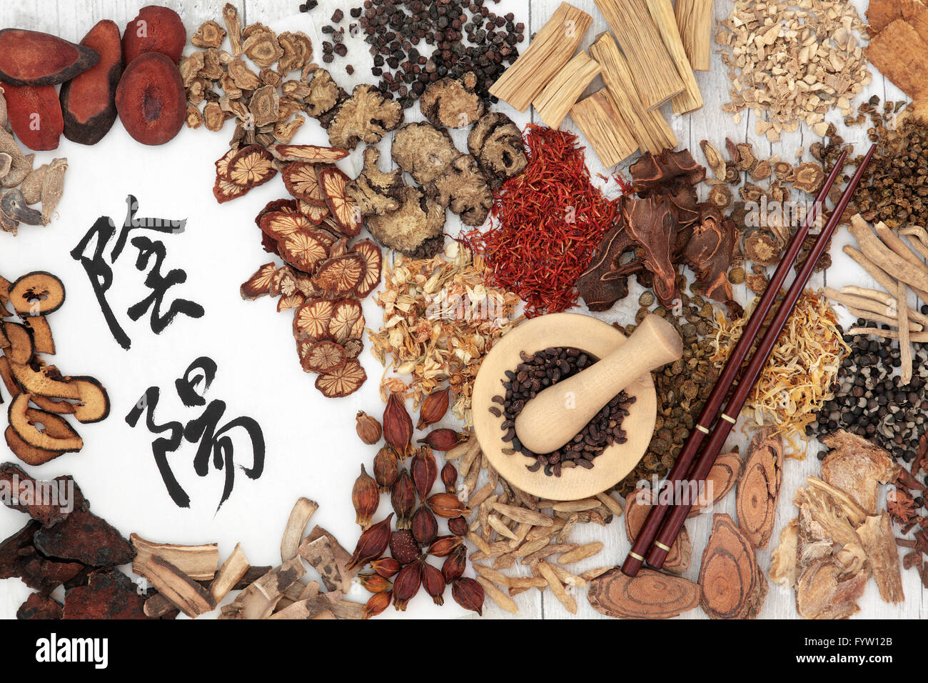 Chinese herbal medicine ingredients used in traditional herbal medicine with yin and yang mandarin calligraphy symbols. Stock Photo