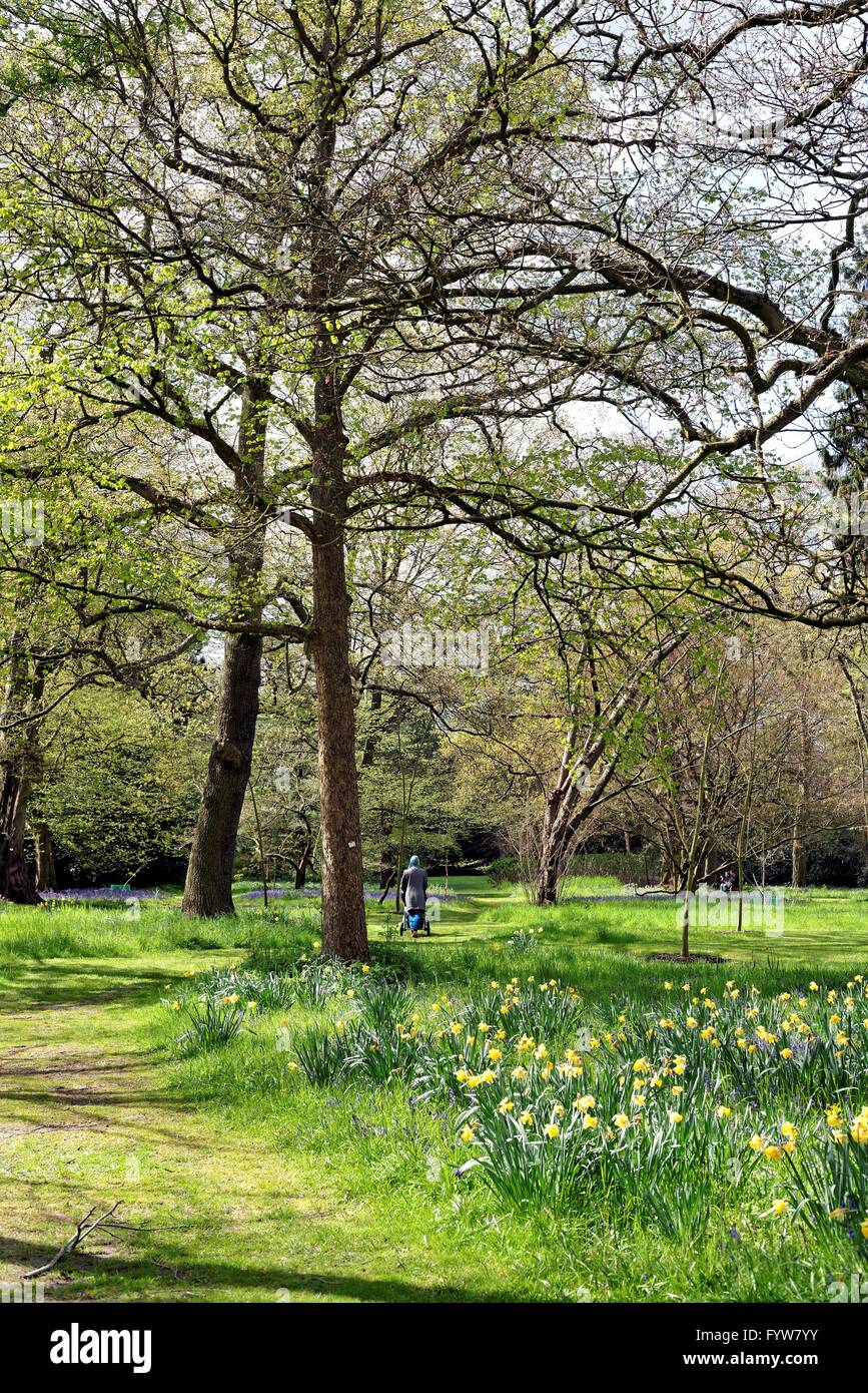 Gardens woodland hires stock photography and images Alamy