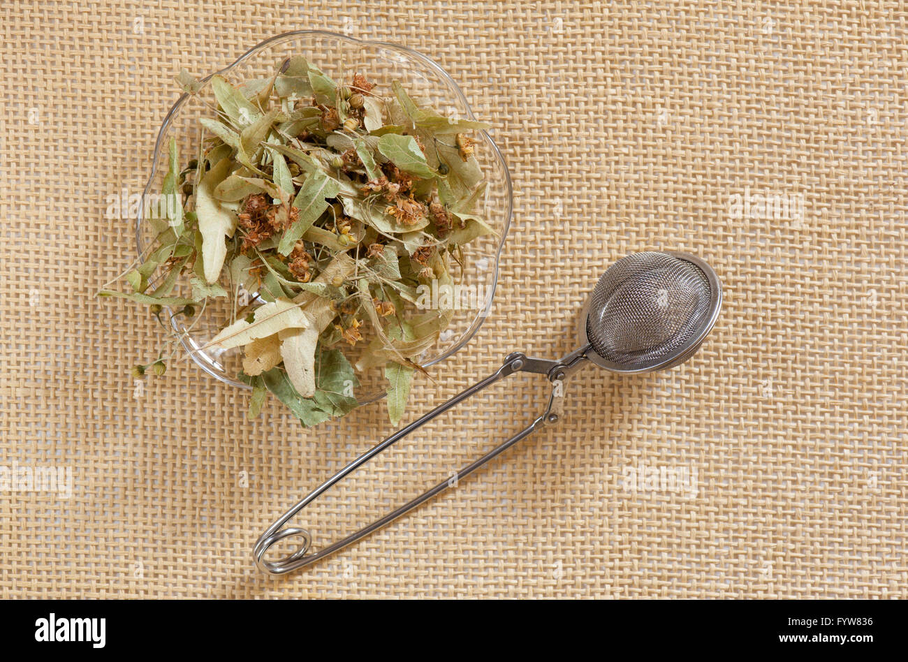 Tilia dry tea flowers, lime tree herbal plant called basswood, portion lying on glass saucer and empty metal mesh tea infuser Stock Photo