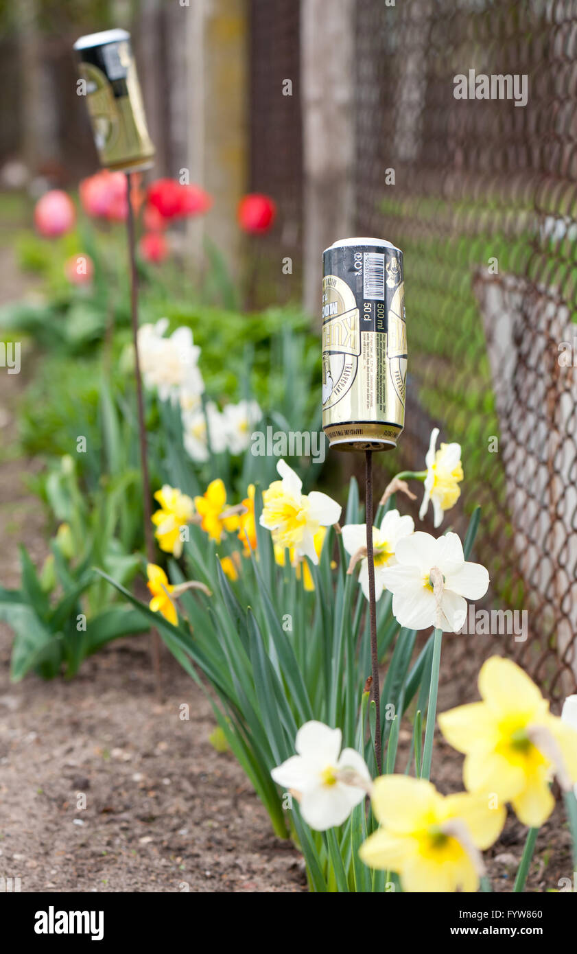 Repel moles noise making tin can on metal stick wire vibrating on the