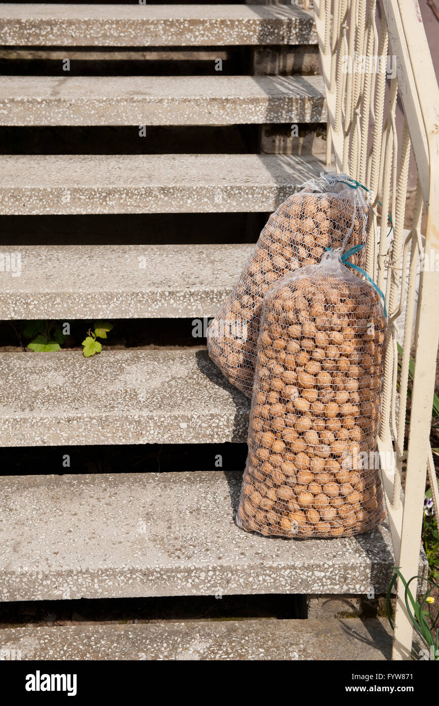 Mesh bags hires stock photography and images Alamy