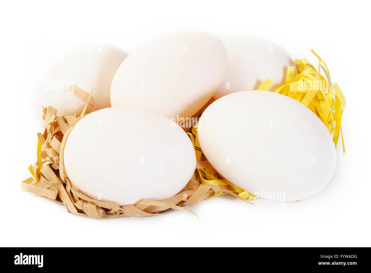 fresh duck eggs Stock Photo Alamy