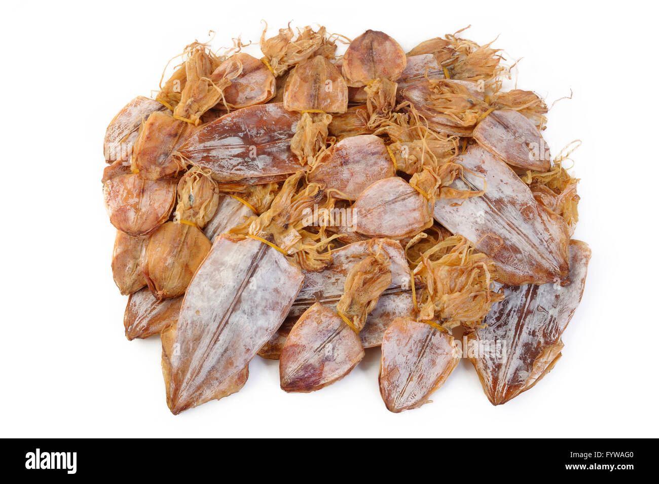 Dried squid on white background Stock Photo Alamy
