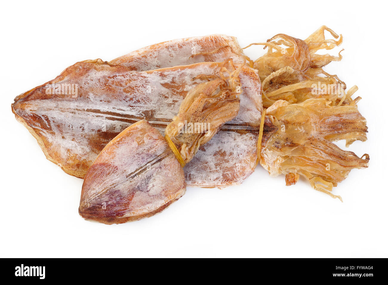 Dried squid on white background Stock Photo Alamy
