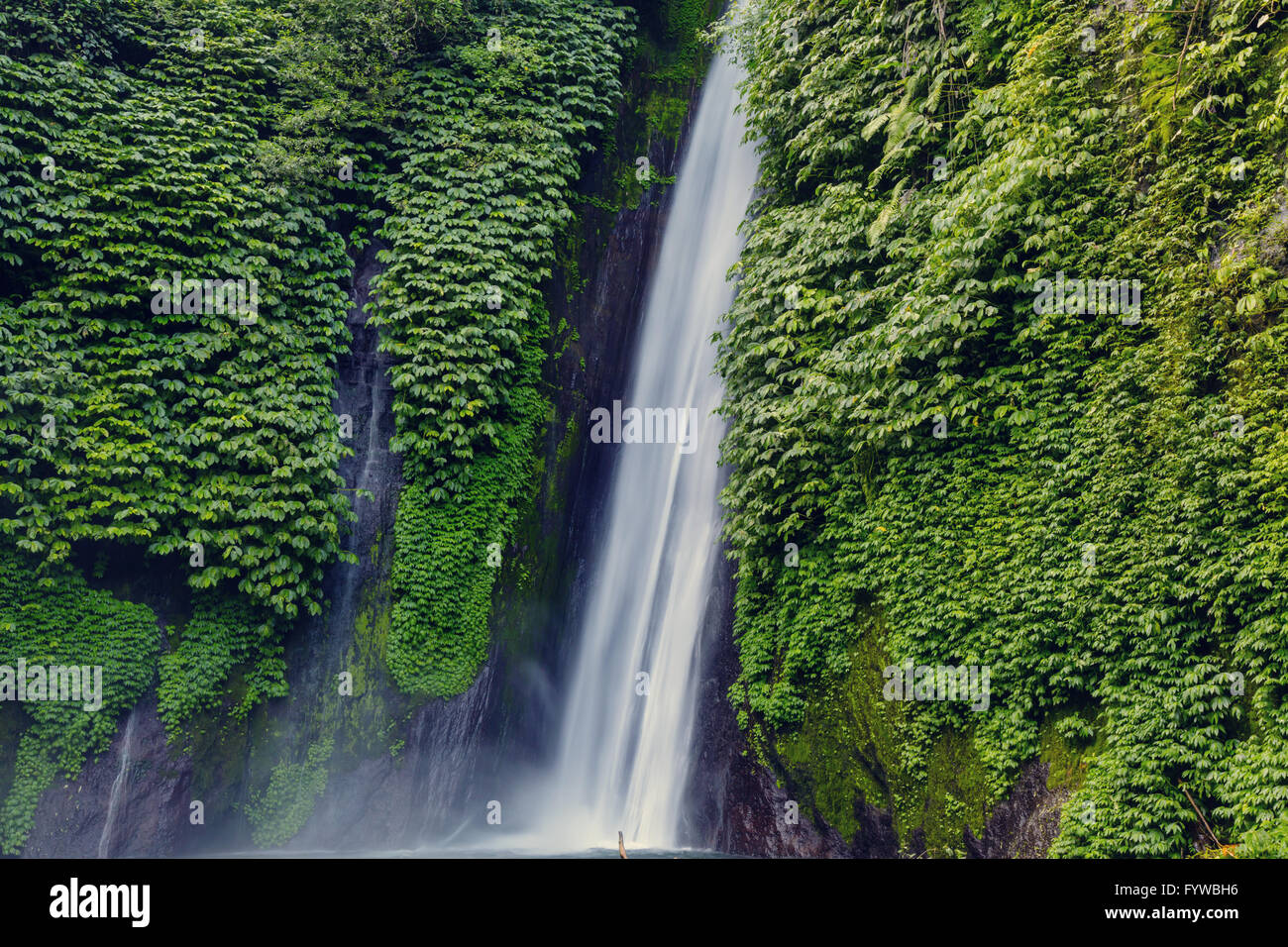 Waterfall in Indonesia Stock Photo - Alamy