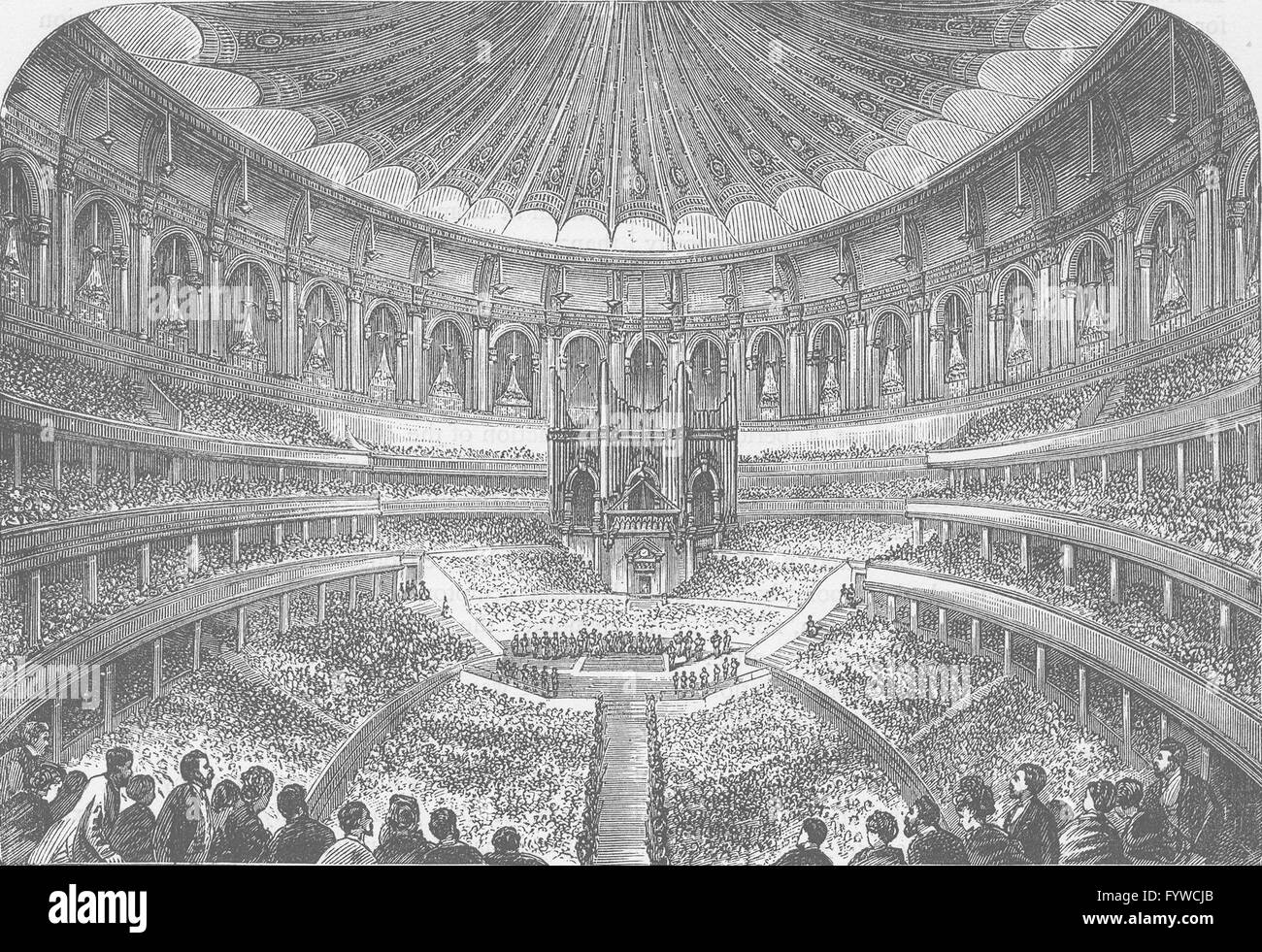 SOUTH KENSINGTON: Interior of the Albert Hall. London, antique print ...