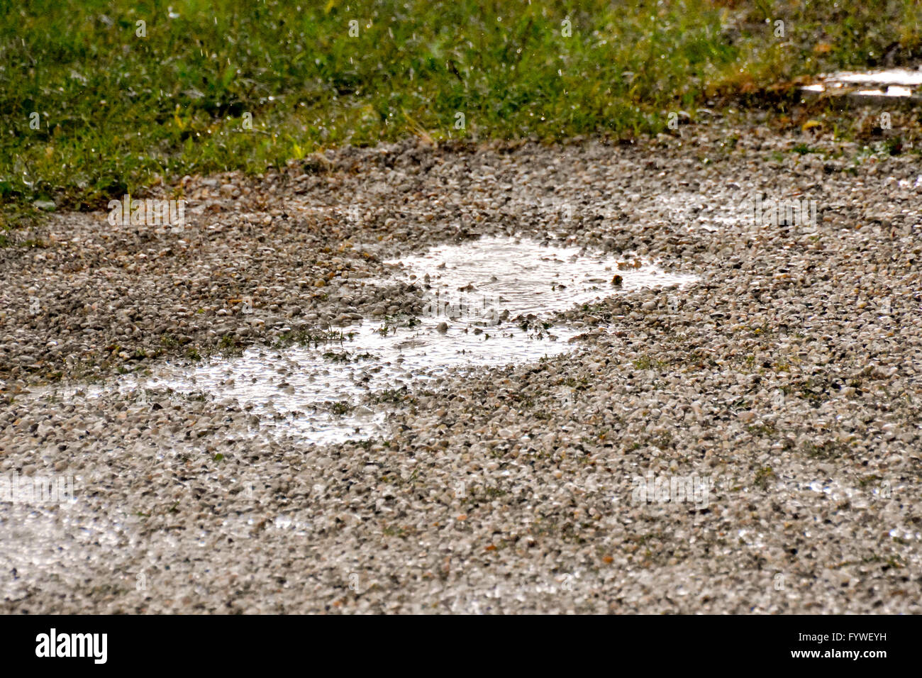 Puddle of water and raindrops Stock Photo - Alamy
