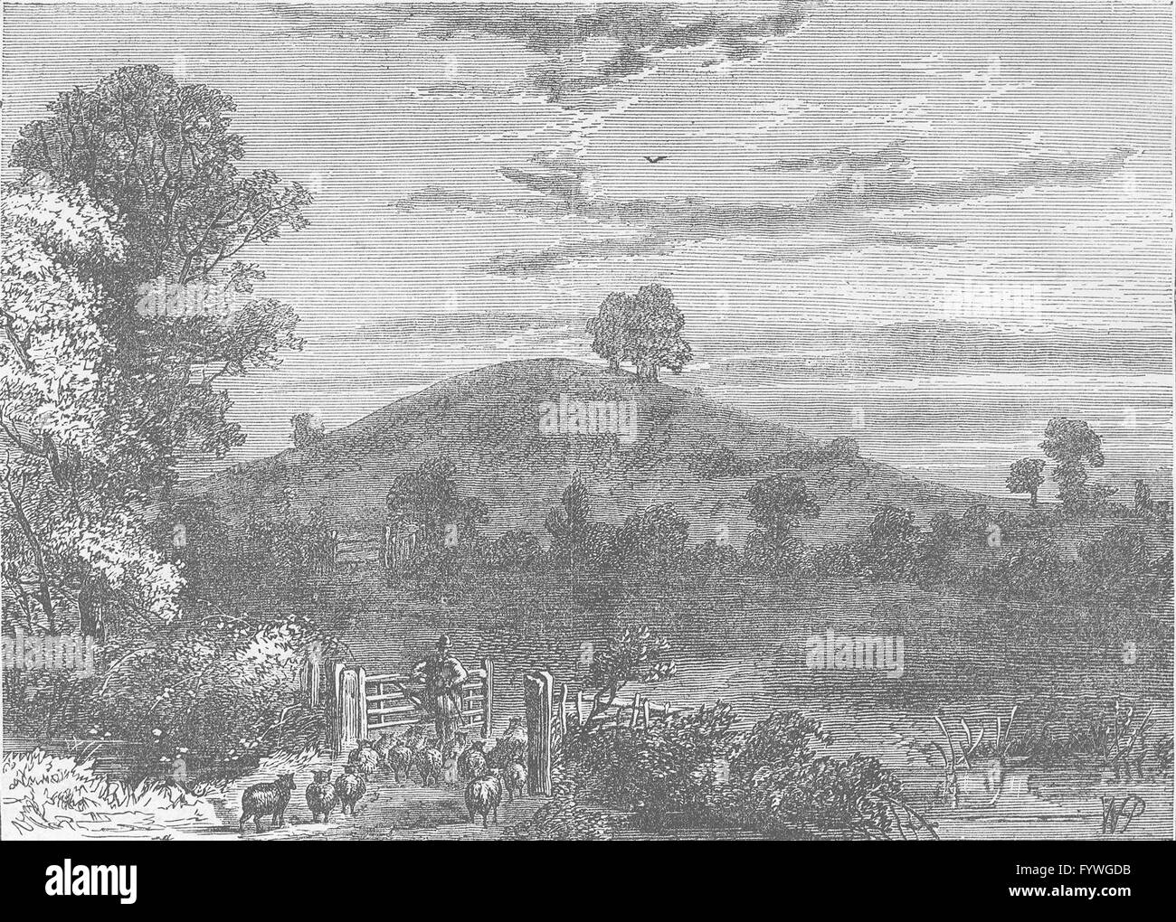 Chalk farm london hires stock photography and images Alamy