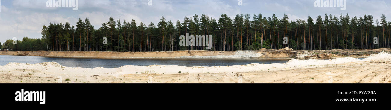 Pine forest and lake Stock Photo - Alamy