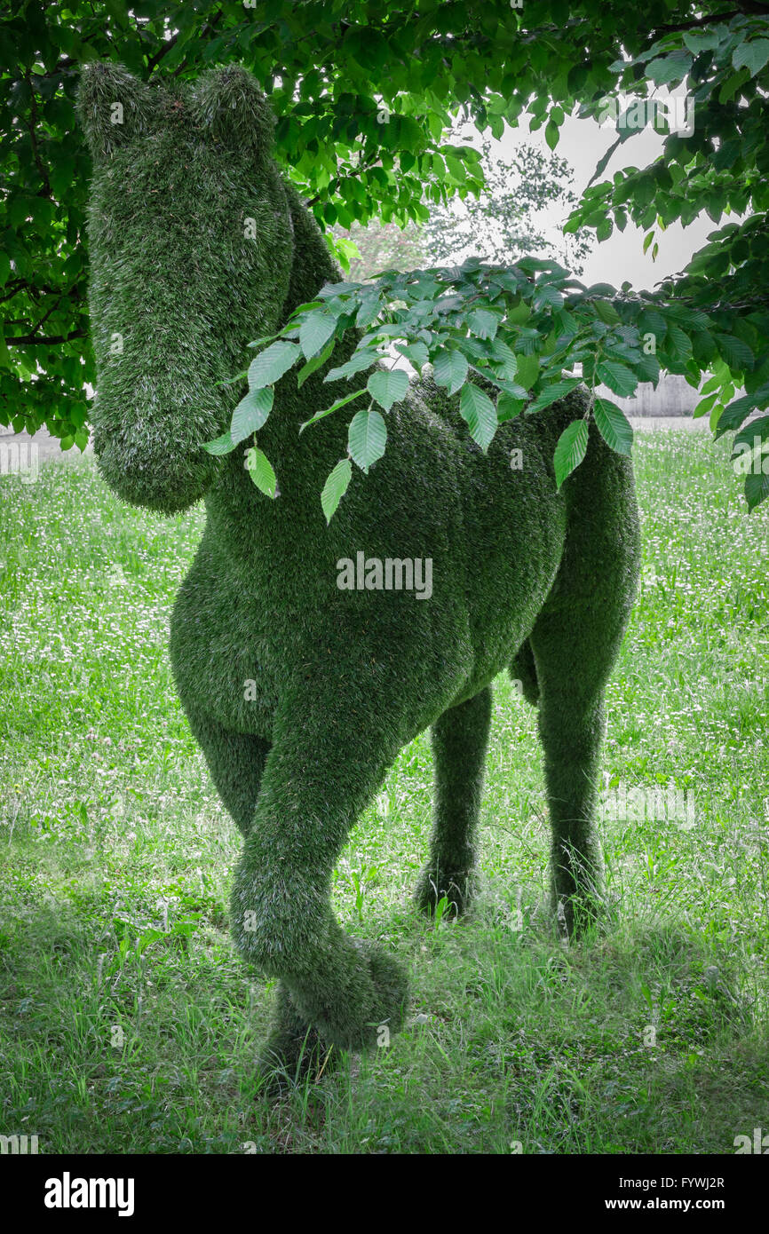 Horse hedge Stock Photo
