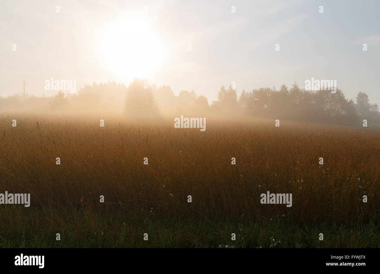 Sunrise and mist Stock Photo - Alamy