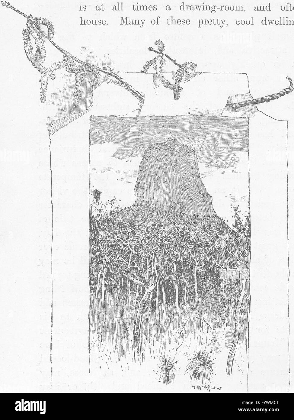 AUSTRALIA: South Queensland: Glasshouse Mountain, antique print 1890 Stock Photo