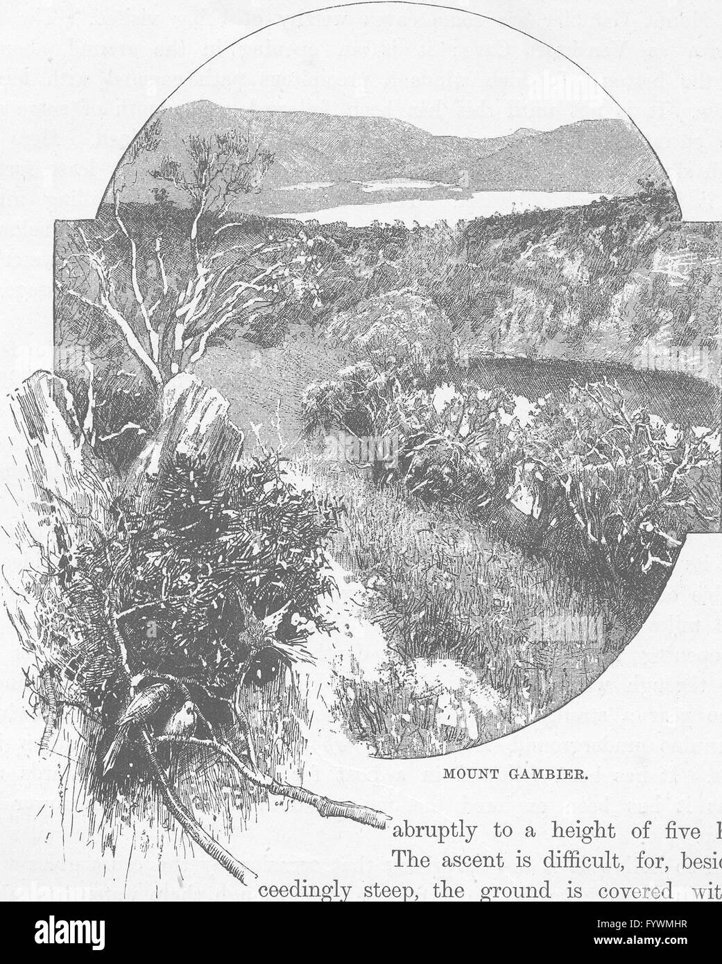 Mount gambier Black and White Stock Photos & Images Alamy