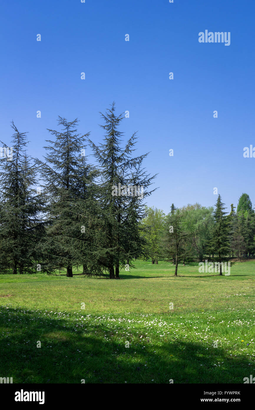 Rural lan hi-res stock photography and images - Alamy