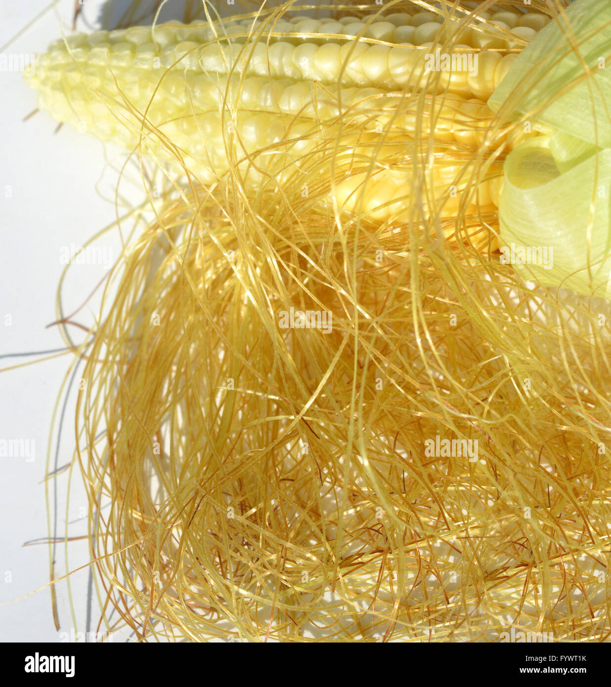 Corn leaves hi-res stock photography and images - Alamy