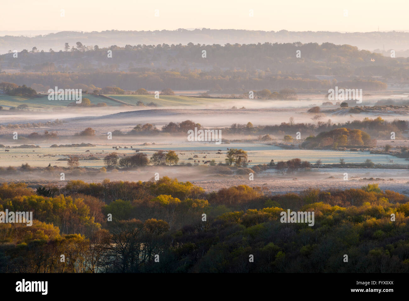 Stoborough Heath, Dorset, UK - 28th April 2016 - UK Weather - View from West Hill at Corfe Castle in Dorset across Stoborough Heath in Purbeck - Picture: Graham Hunt/Alamy Live News Stock Photo